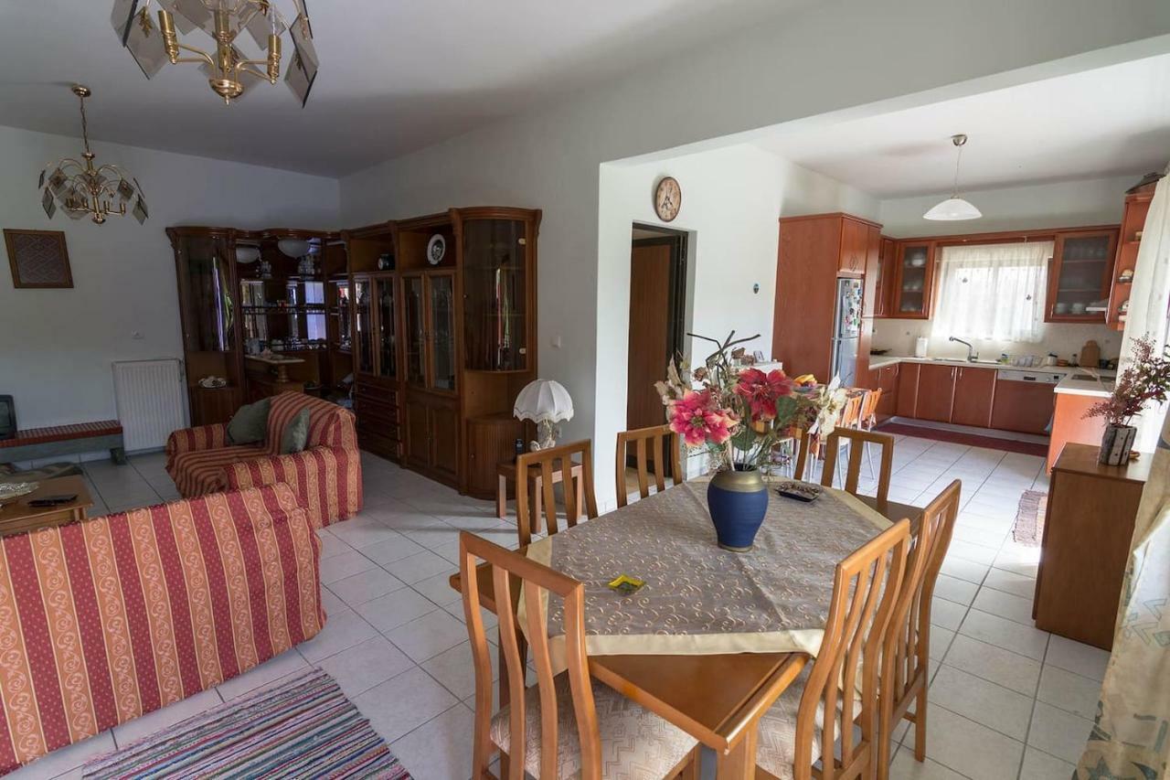 Big Family House In Mesochoria Village 외부 사진