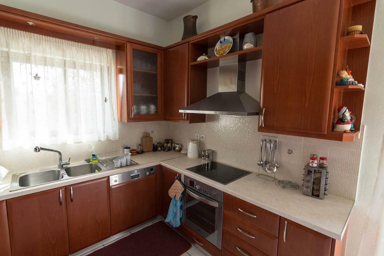 Big Family House In Mesochoria Village 외부 사진