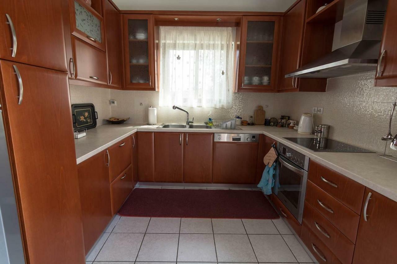 Big Family House In Mesochoria Village 외부 사진